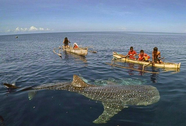 Wisata Pantai Di Probolinggo Pesona Pariwisata Seni 