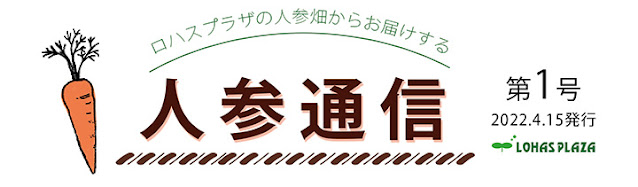 人参通信　第1号　ロハスプラザの人参畑からお届け