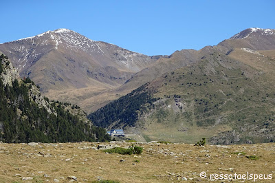 El Puigmal des del collet de les Barraques