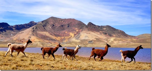 Comunidad de Alto Milluni (El Alto)