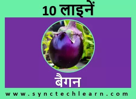 10 lines on brinjal in Hindi