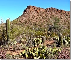 Ironwood hike 053