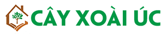 Cây Xoài Úc
