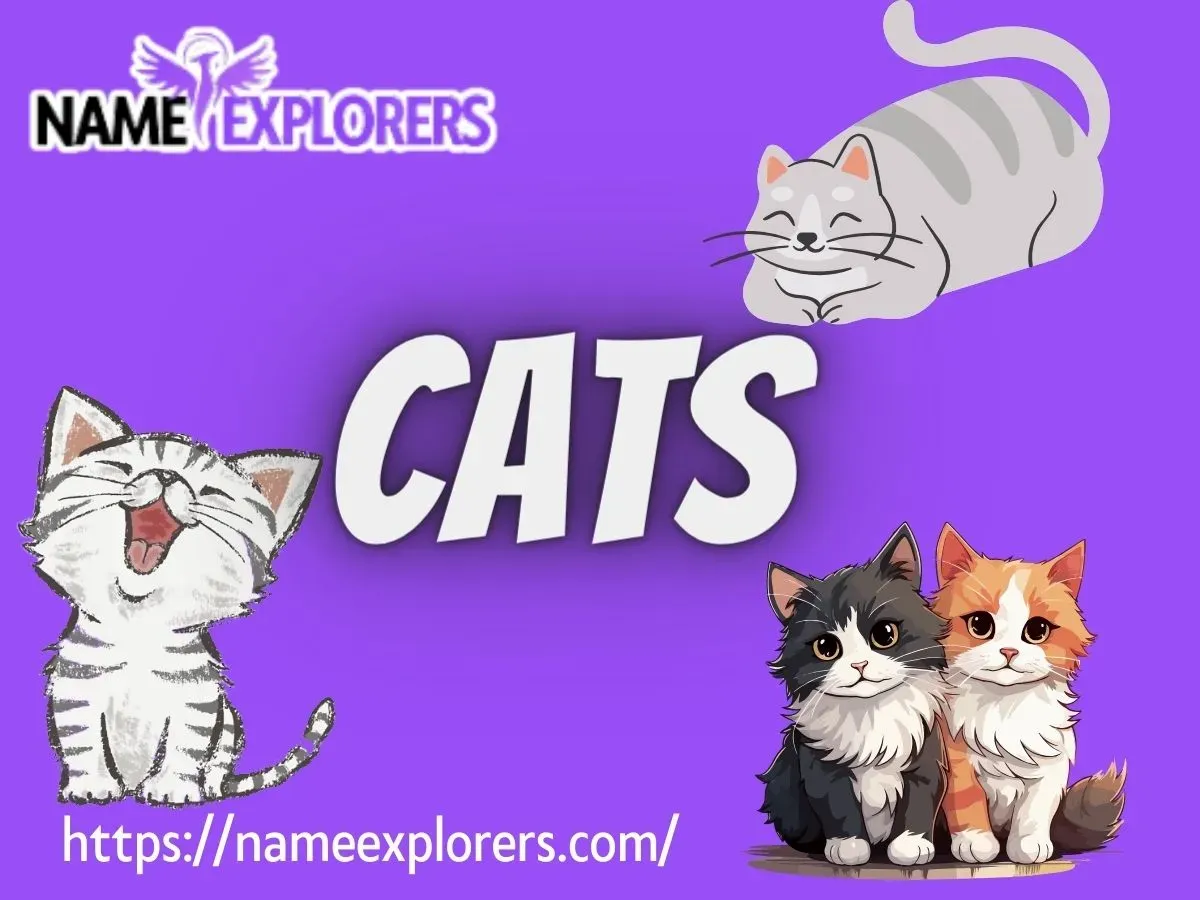 Pet Names For Cats