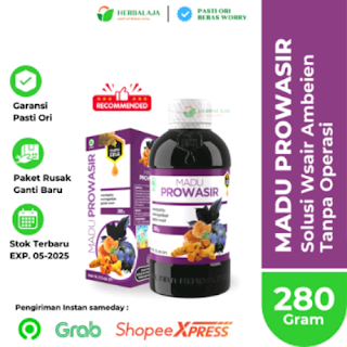 Jual Obat Wasir Madu Prowasir