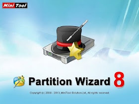 MiniTool Partition Wizard Professional 8.1 full key, Tai MiniTool Partition Wizard Professional  full key