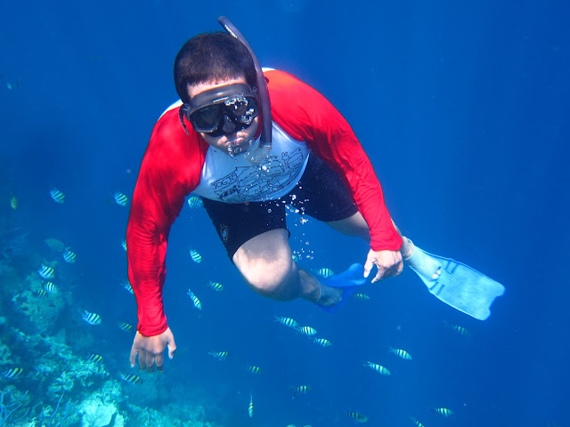 Snorkeling Pulau Menjangan