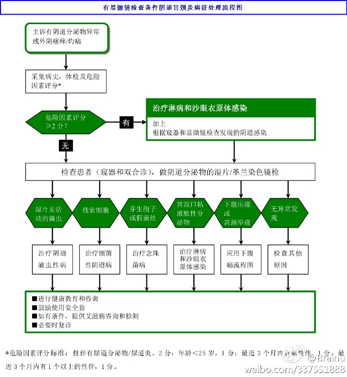 阴道宫颈炎处理流程