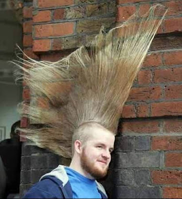 World's Craziest Unusual Hairstyles