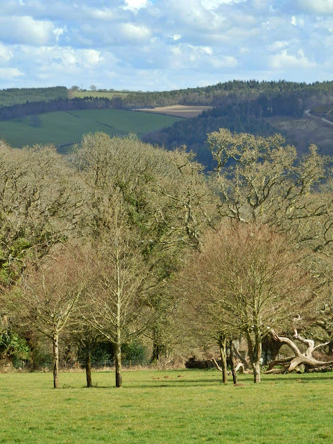 Countryside in Cornwall