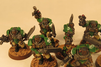 Salamanders Scouts