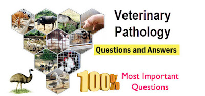 Veterinary Pathology MCQS