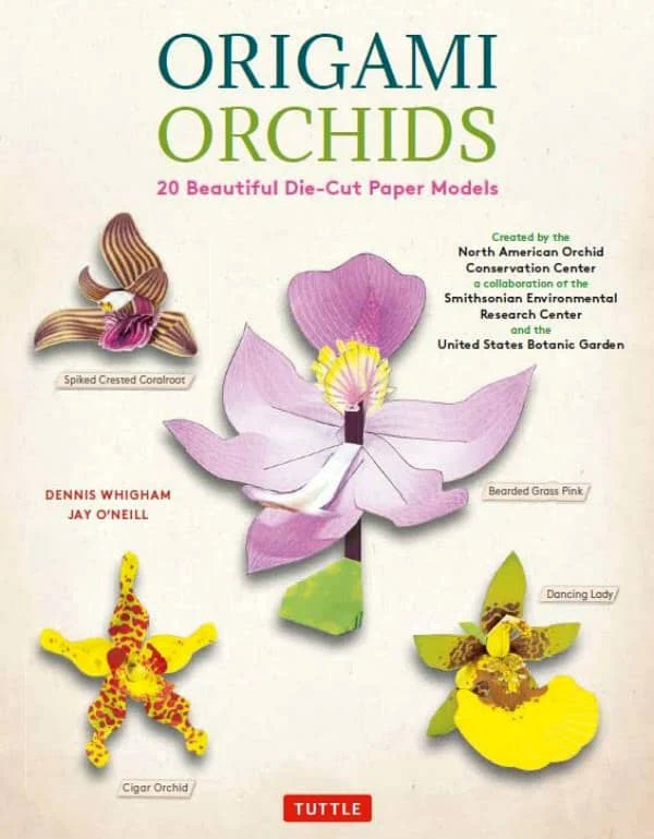 colorful examples of die cut paper orchid flowers on kit box front