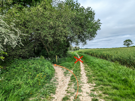 Turn left, still on North Mymms footpath 8