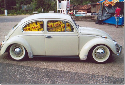 Fusca_skol