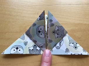 IMG_0023_thumb2