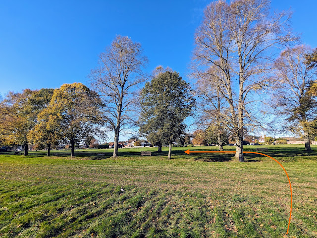 Turn left on the metalled path then head SW across the common