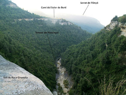 La vall del Rossinyol des del Saltant de Roca Gironella