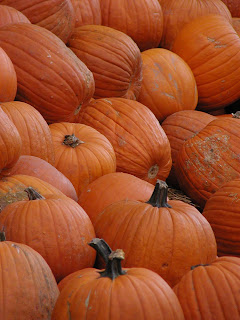 pumpkins austin copyright kerry dexter