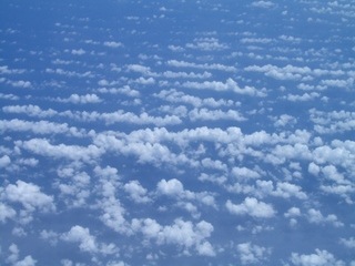 CIMG0009