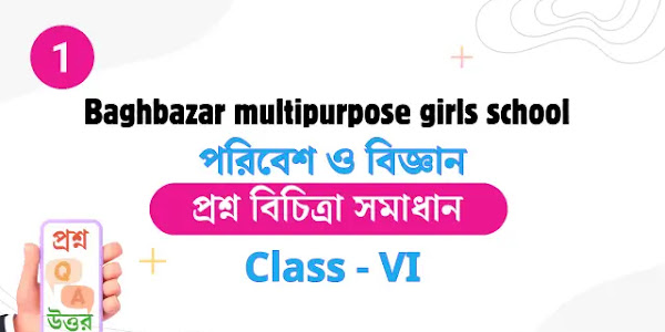 [2024] Class 6 1st unit test Poribesh | প্রশ্ন বিচিত্রা সমাধান | All School