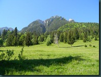 DSCN5595