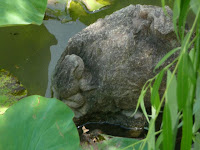 池の柳の傍に石のカエルが･･･