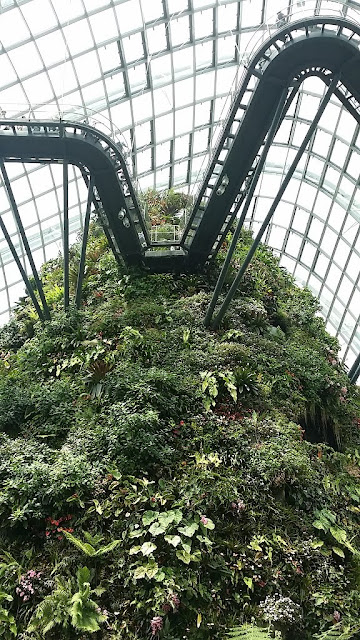 gardens by the bay cloud forest mountain walk