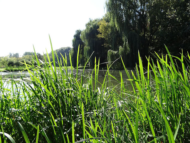 Park Skaryszewski im. Ignacego Jana Paderewskiego