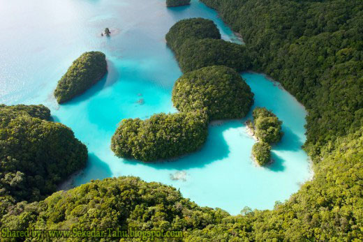 Palau Micronesia