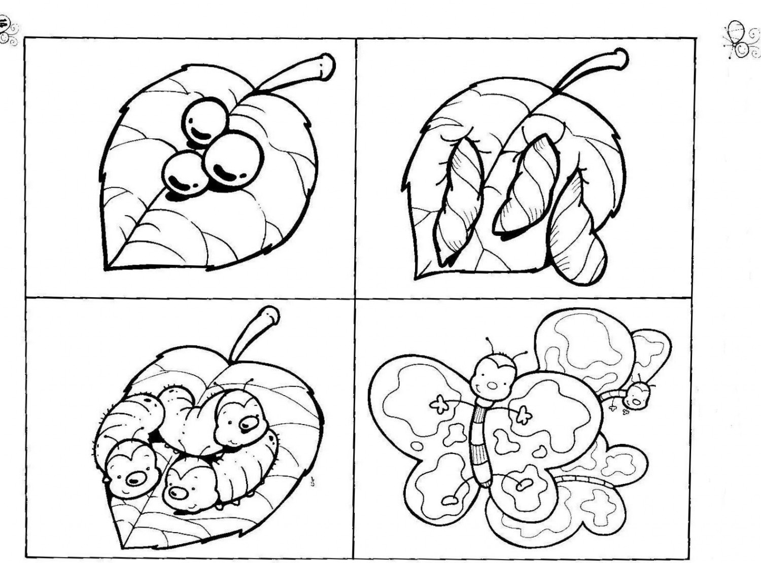 worksheets life Frog Cycle  cycle, pages, Animal cycles Butterfly Life life animal life coloring