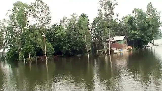 রৌমারীতে ৩৭টি শিক্ষা প্রতিষ্ঠানে পাঠদান বন্ধ