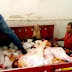تموين الفيوم : ضبط ٥٠٠ كيلو لحوم فاسده قبل بيعها بالاسواق