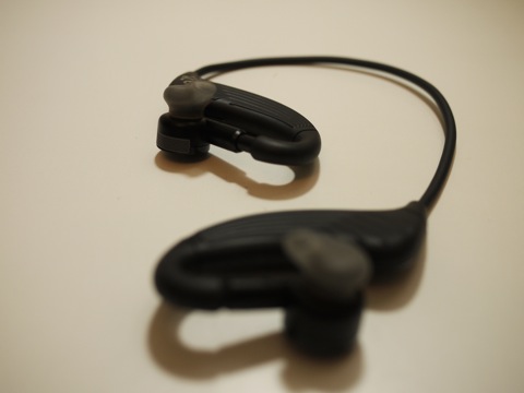 appleguard-29.JPG appleguard-29.JPG