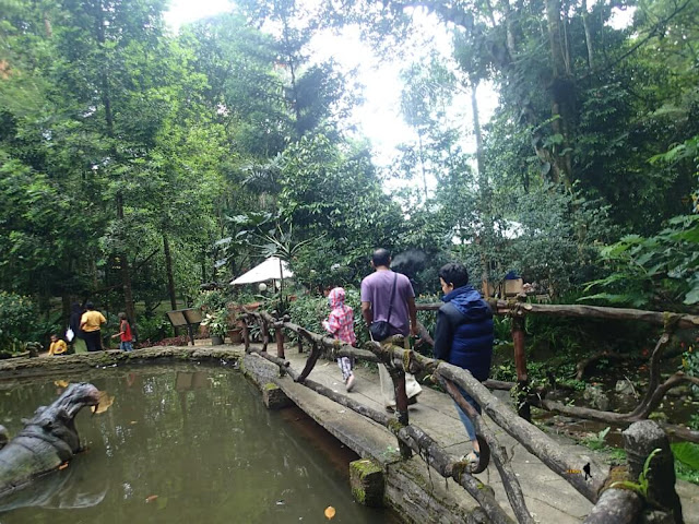 menginap di safari lodge caravan bersama keluarga