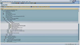 How to get display access to full SPRO?