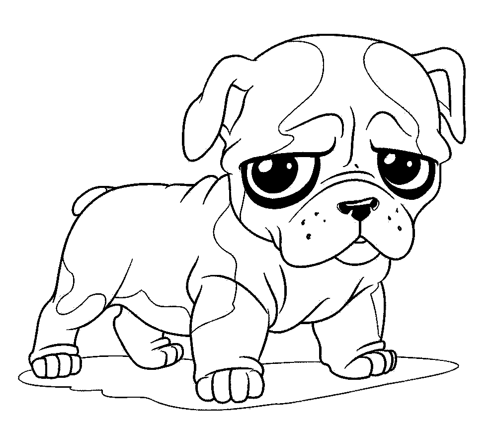 Mewarnai Gambar Anak Anjing Bulldog Yang Lucu Murid 17