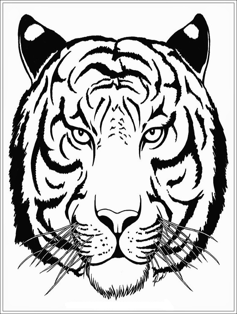 Mewarnai Gambar Harimau Mewarnai Gambar