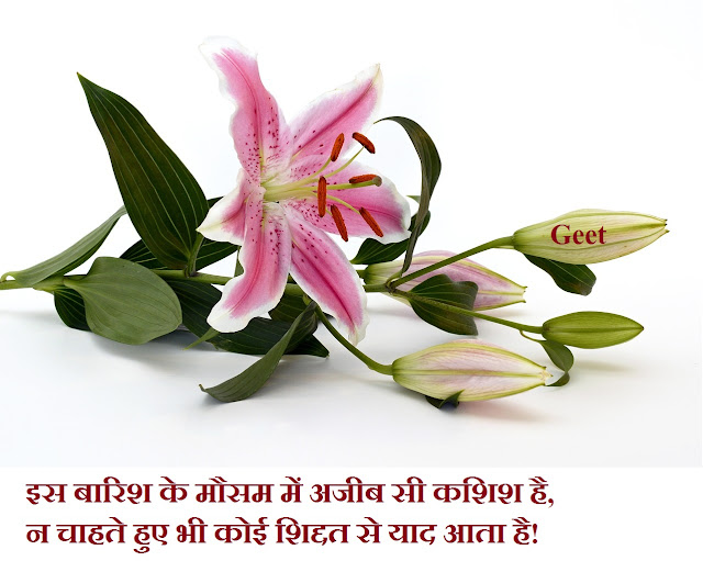 Images Dard Bhari Shayari In Hindi