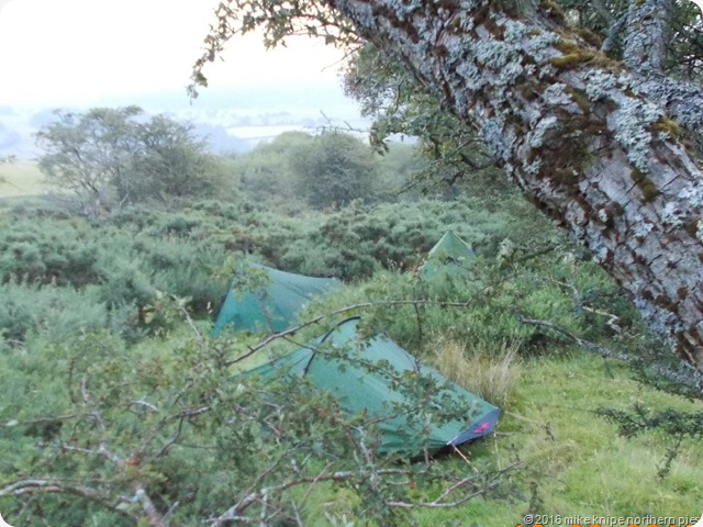 berwyns 035
