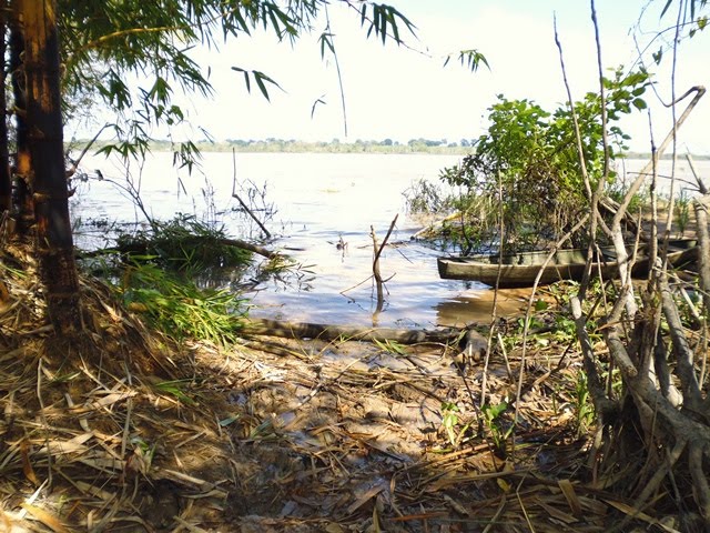 #RioSolimões - A beleza da vazante do Rio Solimões 