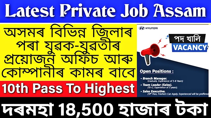 Latest Private Job In Assam | Hyundai Company Job Assam
