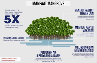 mangrove center graha indah