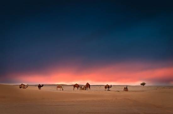 waktu-pagi-di-gurun-sahara