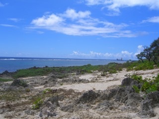 CIMG6280
