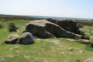 A low outcrop of rock surrounded by grass.