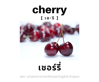cherry - เชอร์รี่