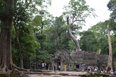 ปราสาทตาพรหม  วัดพุทธศาสนาที่มีความยิ่งใหญ่และร่ำรวยที่สุดในอาณาจักรเขมรโบราณรวยที่สุดในสมัยอาณาจักรเขมรโบราณ