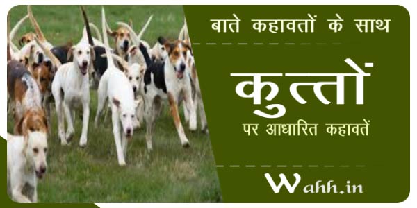 kutto-(dog)-par-kahawat