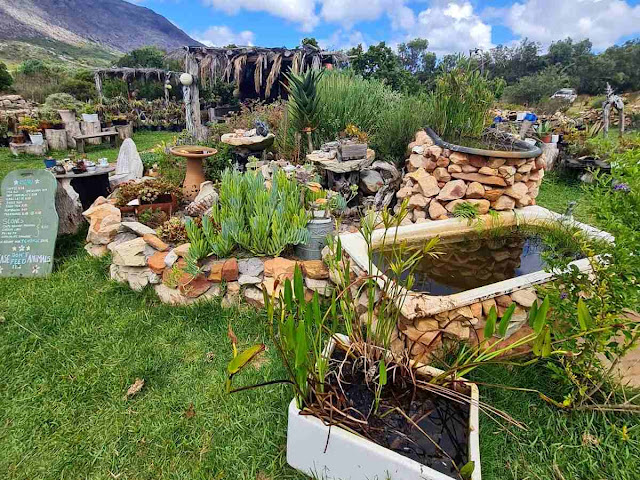 Bathtub fishpond - The Scone Shack